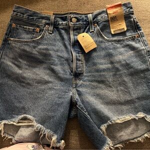 Levi's Blue Denim 501 Cutoff Jean Shorts